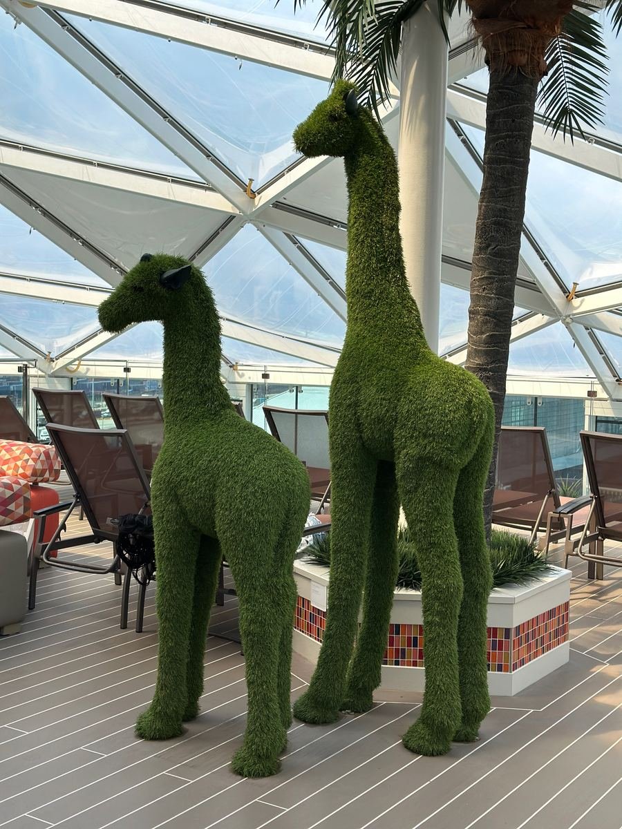 Giraffe topiary